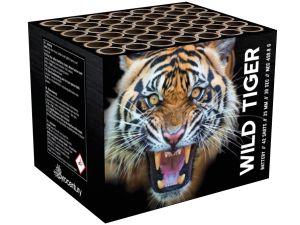 Junior Box Kindervuurwerk Pakket