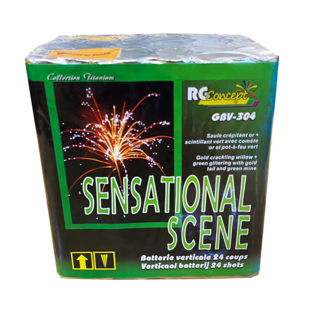 RG Concept Sensational Scene 24 Schots Batterij